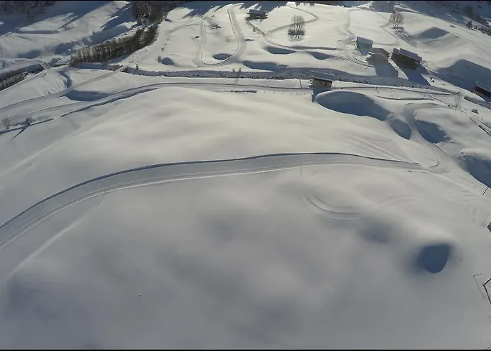 Apartment Londadusa Sedrun